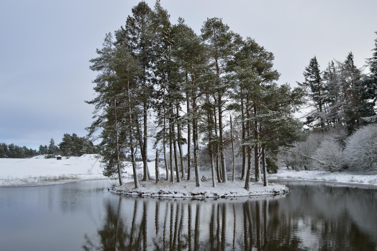 The Pines - Luxury 3-Bed Apartment Near Golf & Spa, Gleneagles, Auchterarder Eksteriør billede